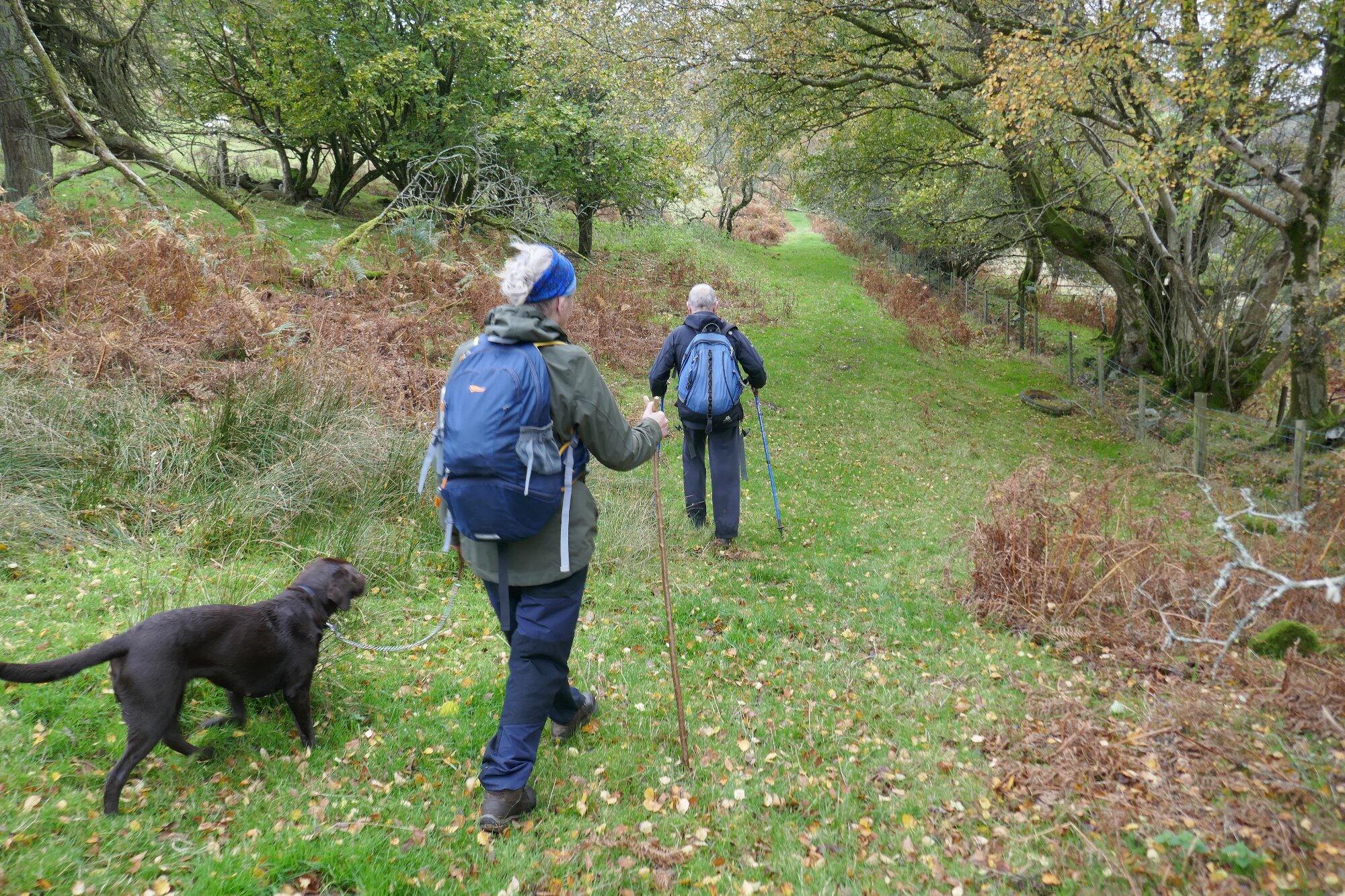 RachelSeabrook.net | Wild Walking | Teifi Pools | pic43